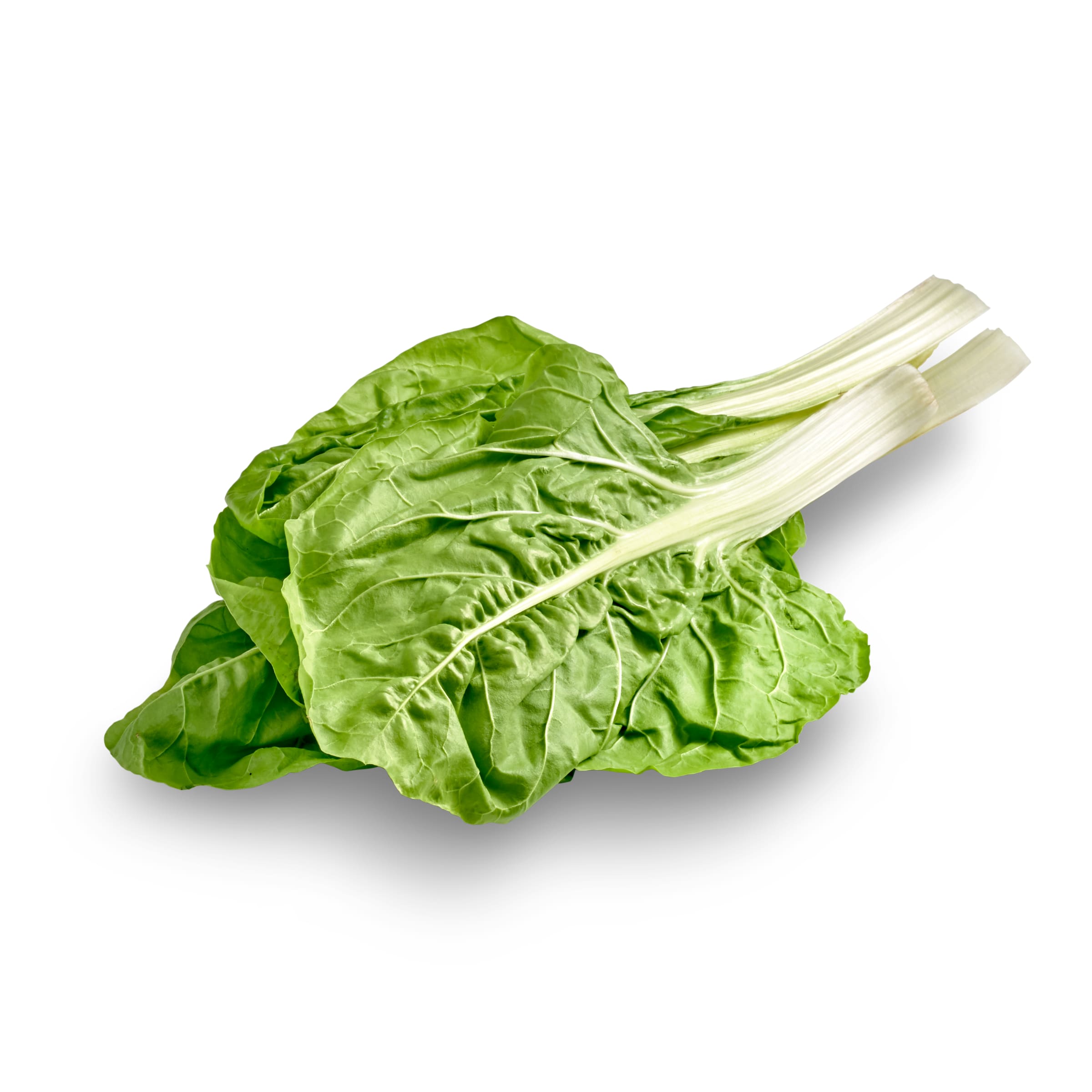 Acelgas manojo (1.2 Kg aprox.)