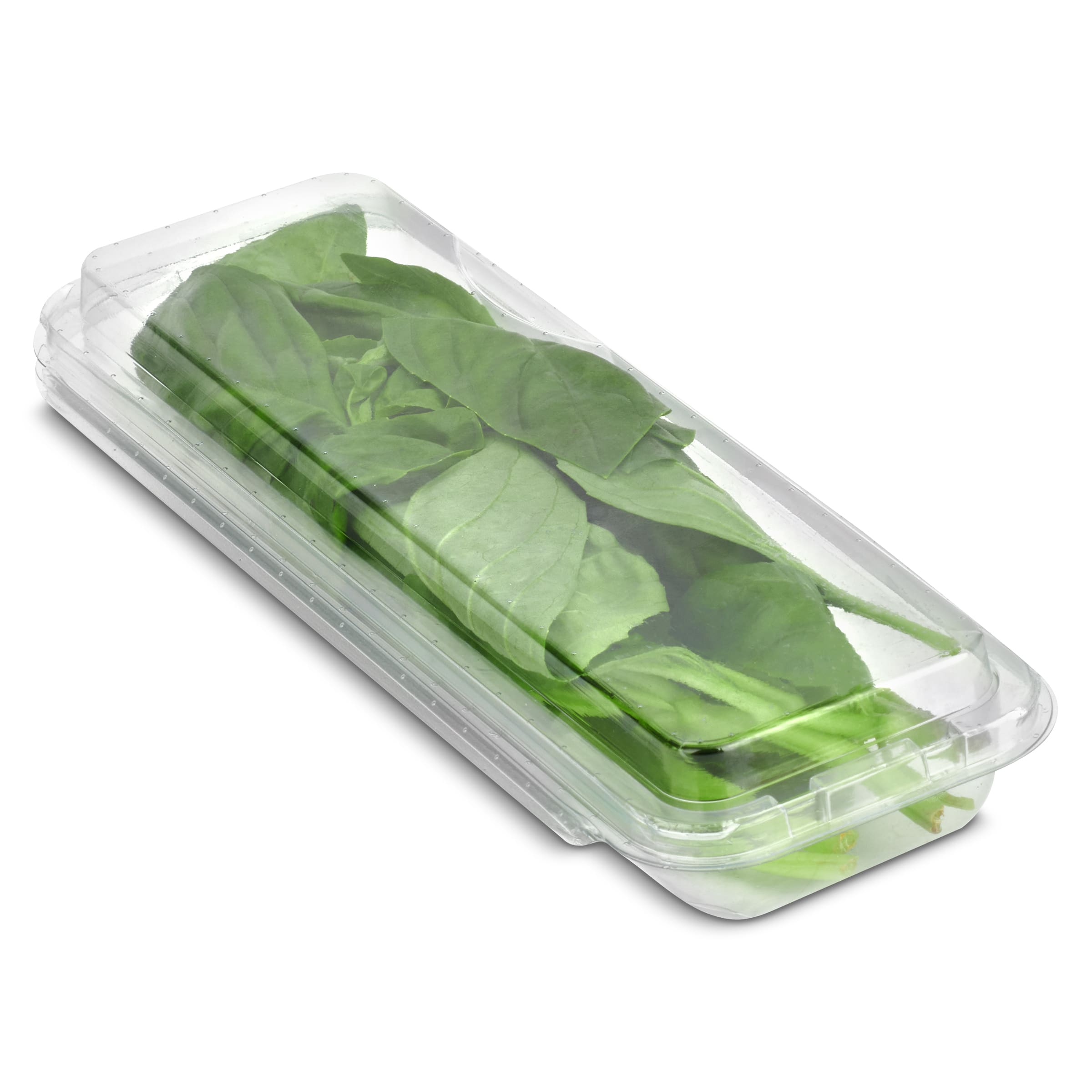 Albahaca bandeja 20 g
