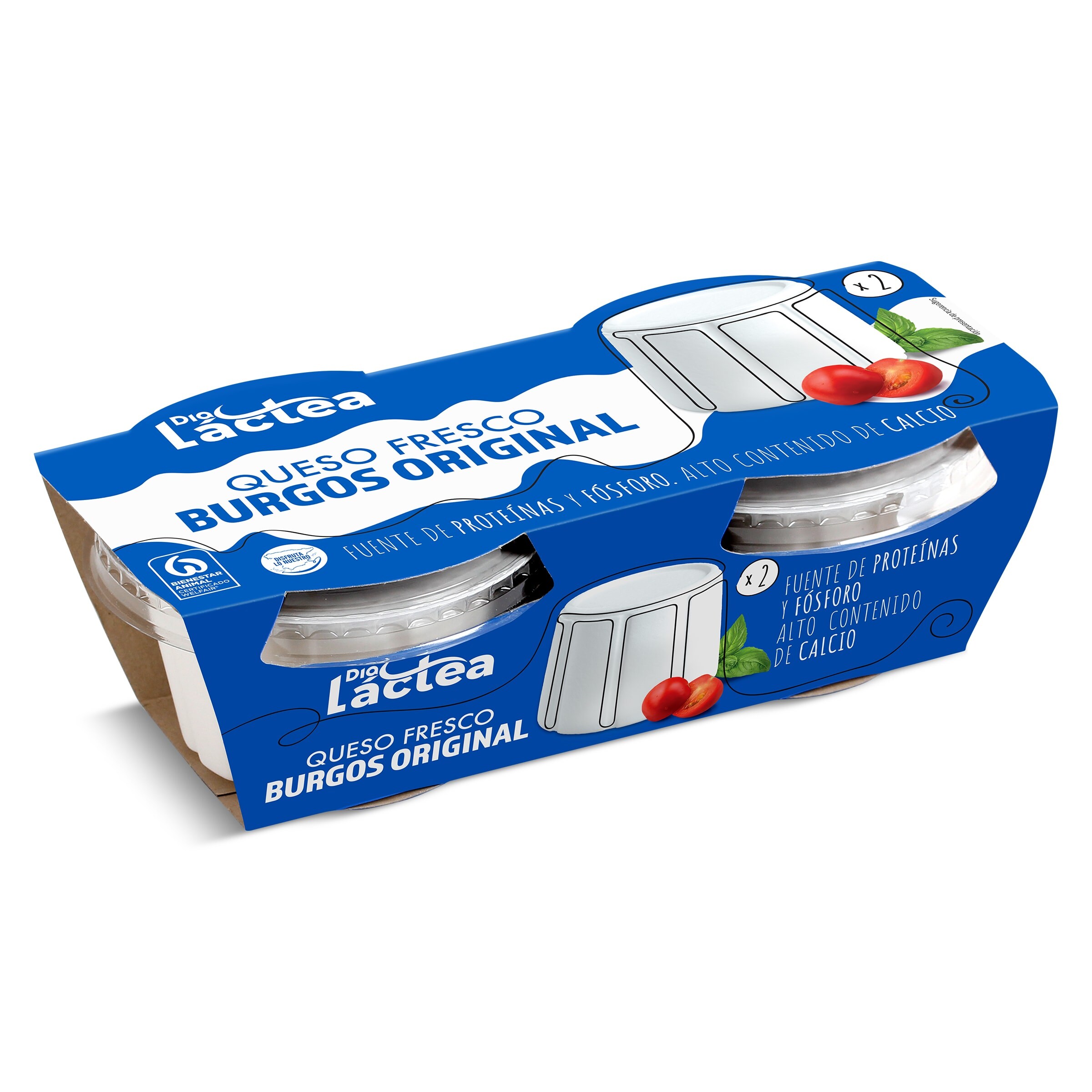 DIA LACTEA queso fresco natural pack 2 x 250 gr