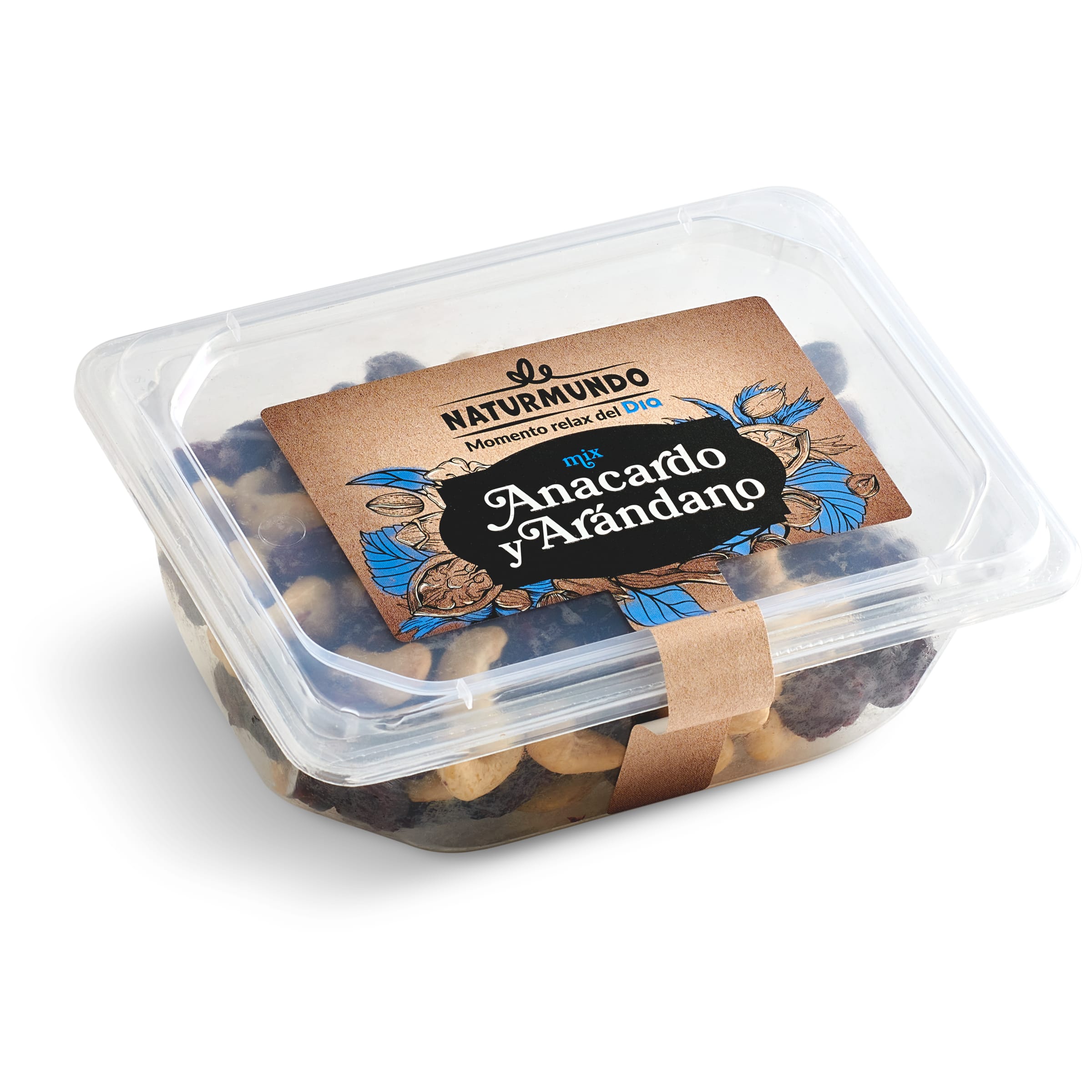 DIA NATURMUNDO mix anacardos y arándanos tarrina 200 gr