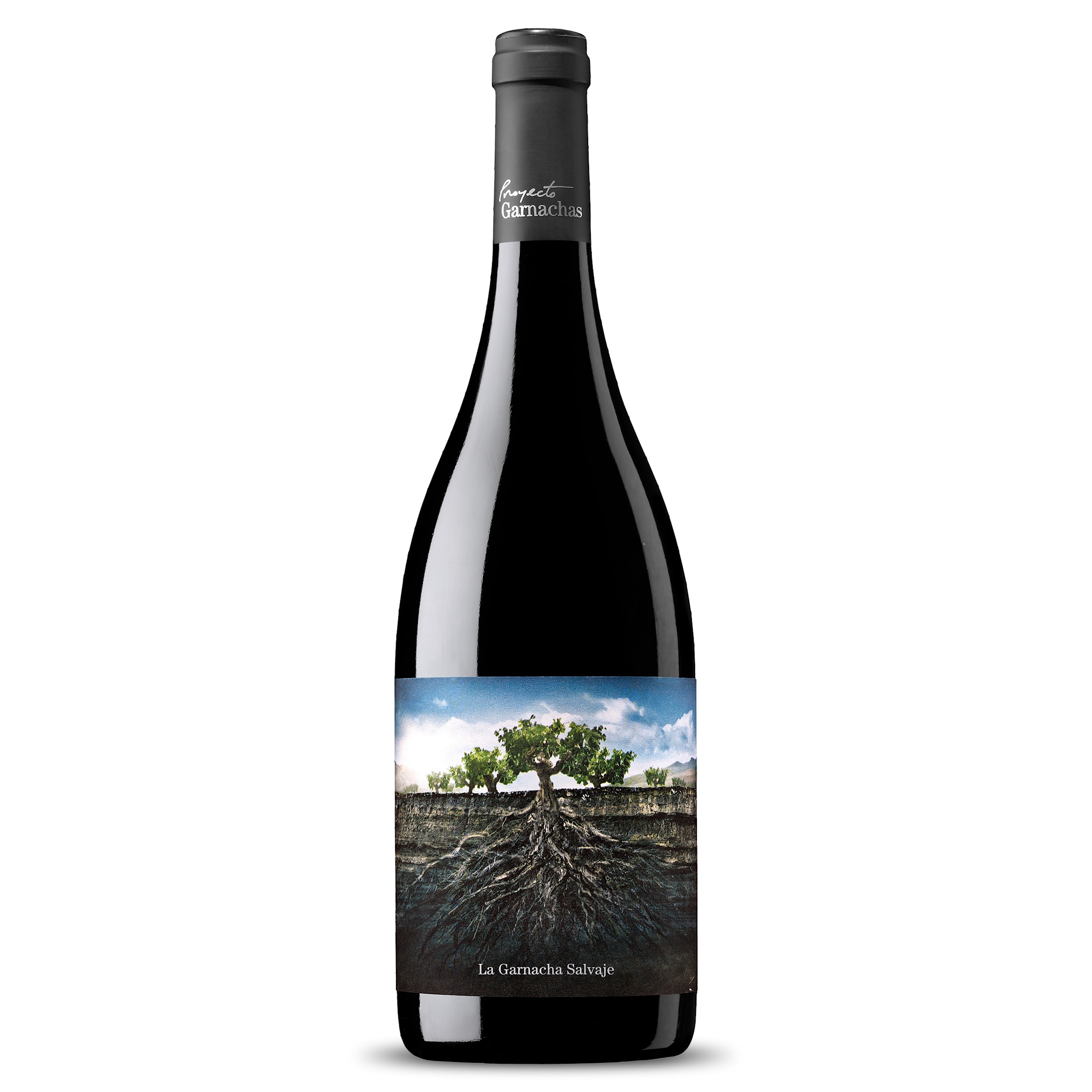 GARNACHA SALVAJE MONCAYO vino tinto de Ribera del Queiles botella 75 cl