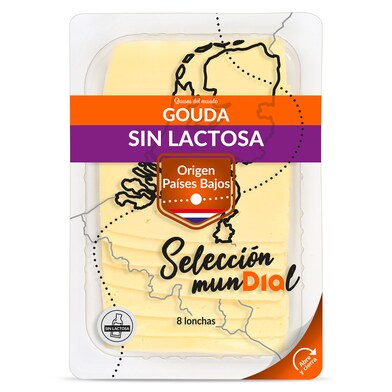 Queso gouda sin lactosa Selección Mundial de Dia sobre 160 g-0 Queso gouda sin lactosa Selección Mundial de Dia sobre 160 g-0