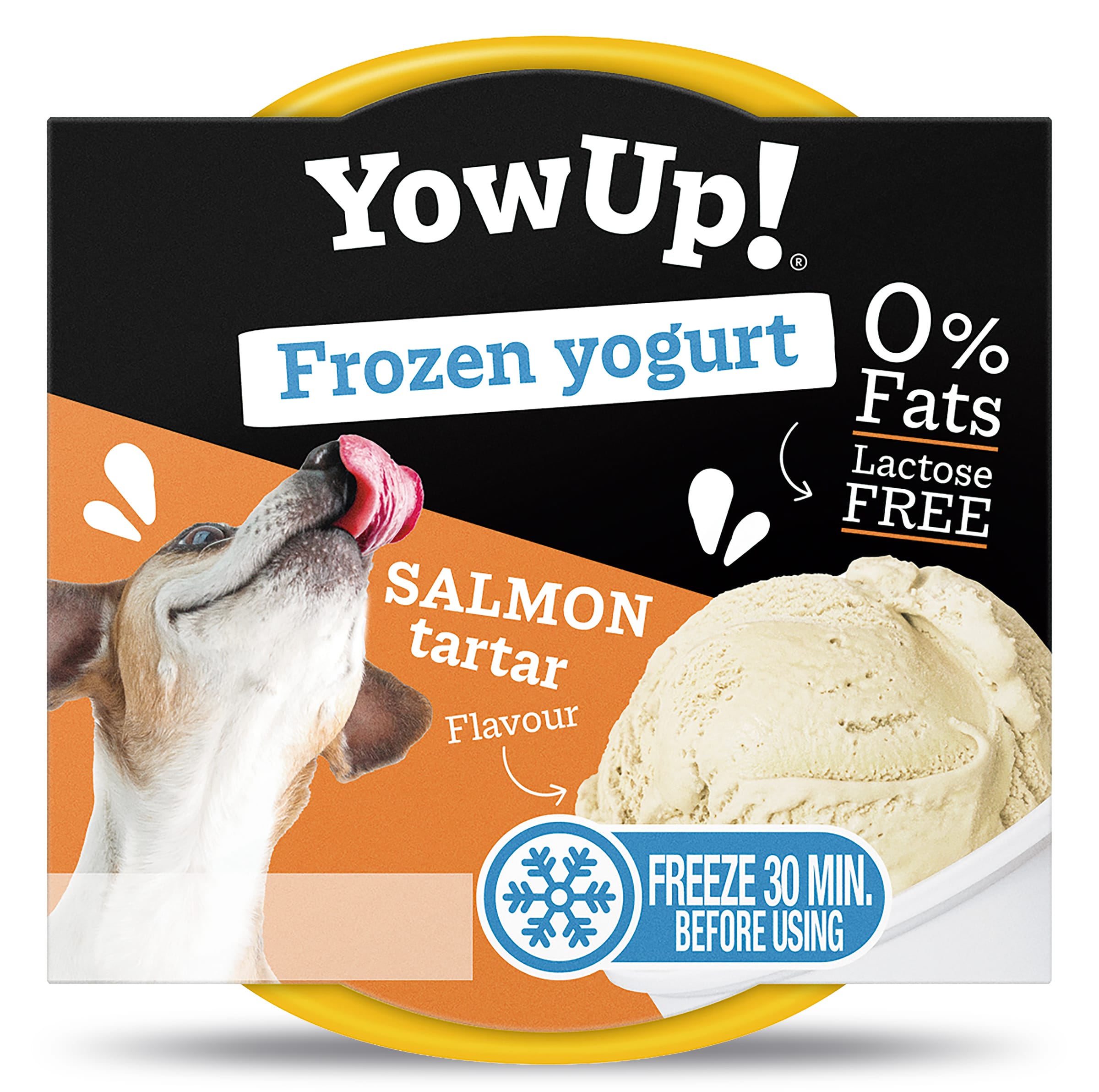 Yogur helado sabor salmon tartar Yow up tarrina 110 g
