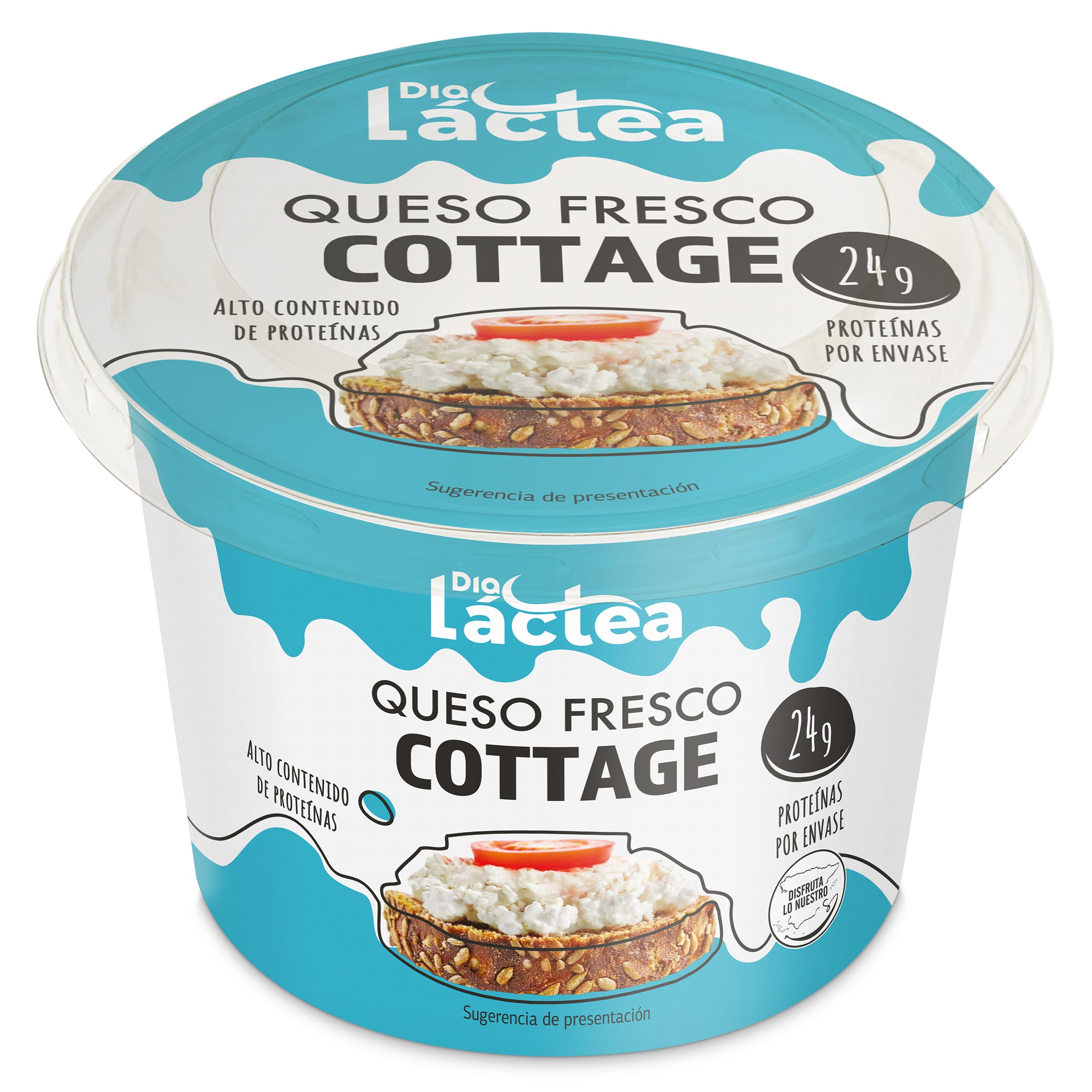 Queso fresco cottage Dia Láctea 200 g