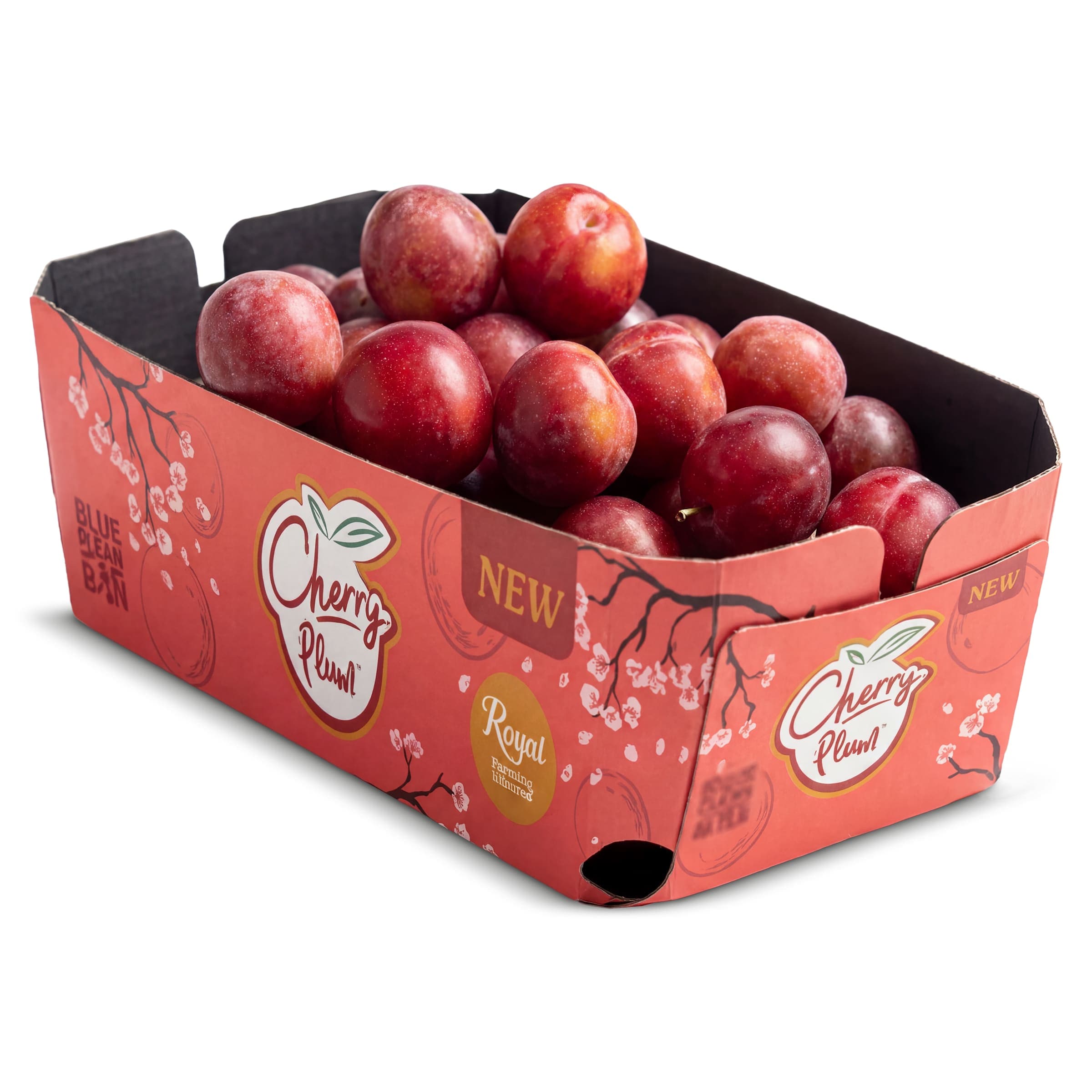 Ciruela cherry pluot 500 g
